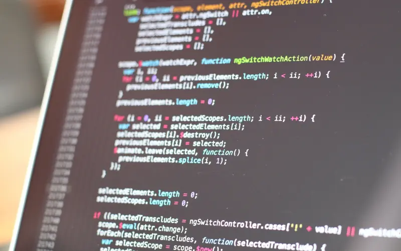 Custom Software Development